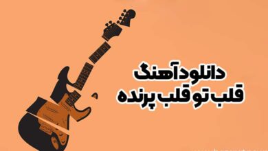 دانلود آهنگ قلب تو قلب پرنده