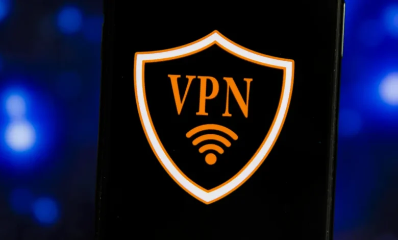 vroid vpn